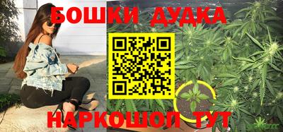 стафф Гусев