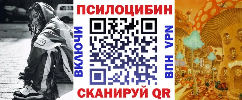 купить наркотик  Еманжелинск  Псилоцибиновые грибы мицелий 